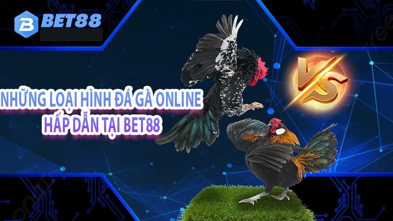 những loại hình đá gà hấp dẫn
